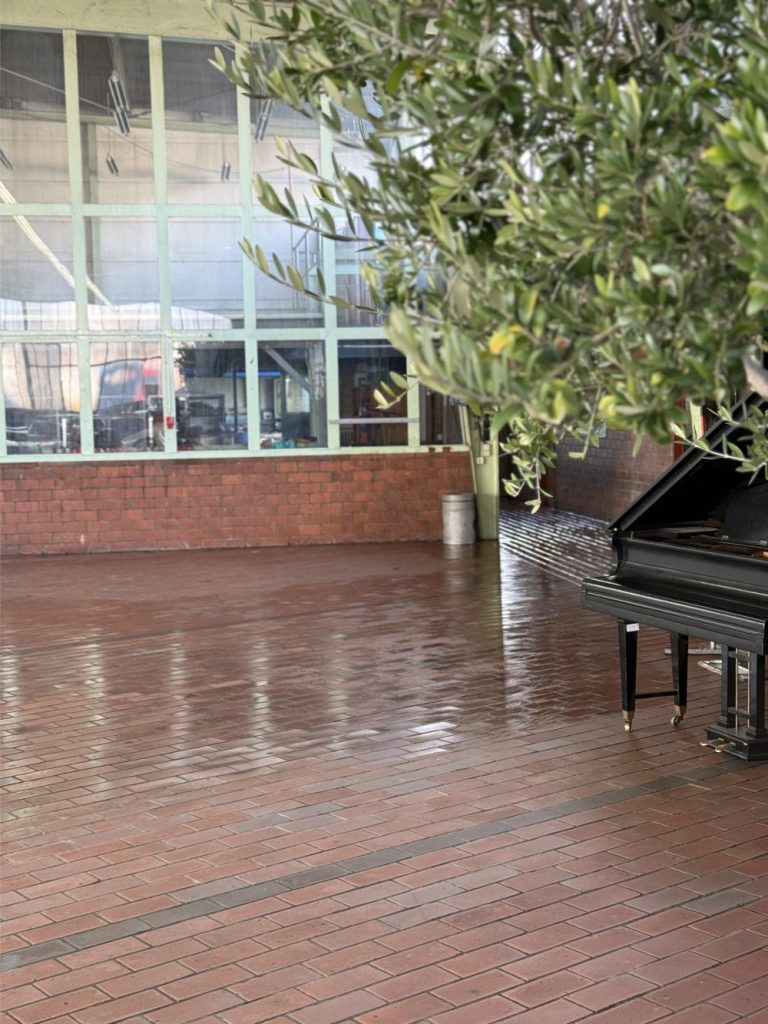 Bei DS Gebäudemanagement konzentrieren wir uns auf zuverlässige und professionelle Gebäudereinigungsdienstleistungen